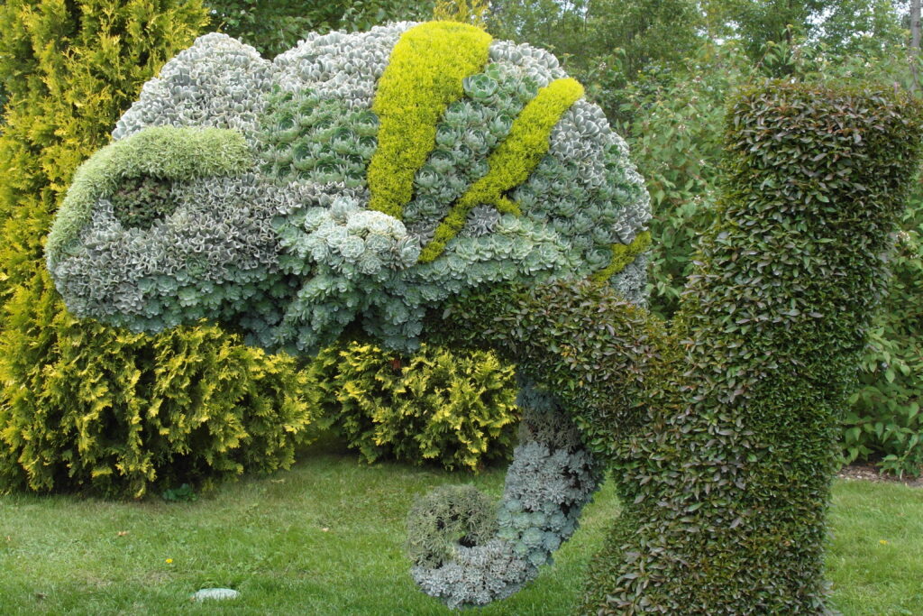 botanical 3