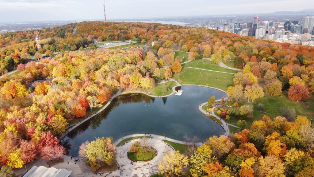 mt royal