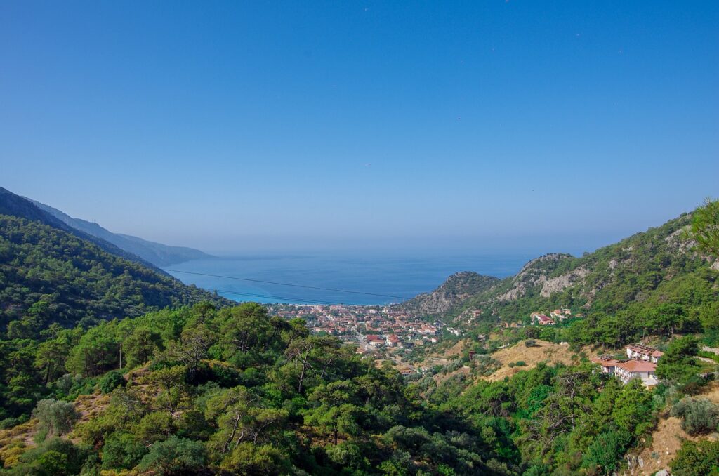 turkey