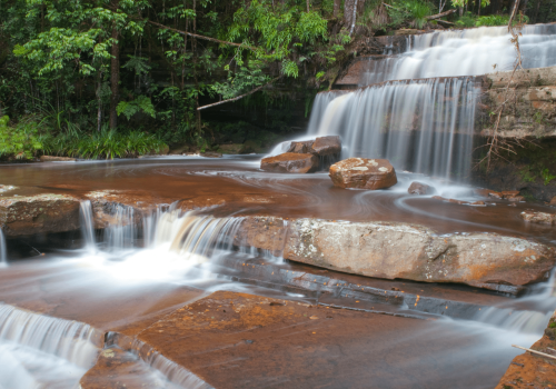 Untitled design (2) Malaysian Borneo