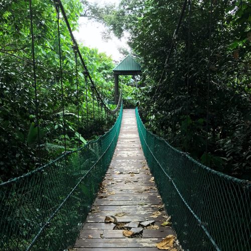 alex-ljamin-44az6StHdrc-unsplash KL Forest Eco Park