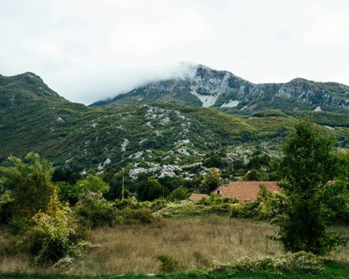 Cetinje7