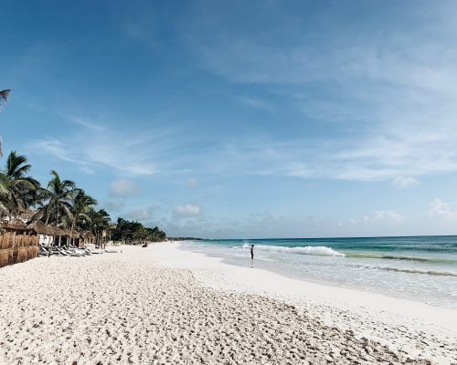 anna-sullivan-G7b2BQWTlUQ-unsplash anna-sullivan-G7b2BQWTlUQ-unsplash