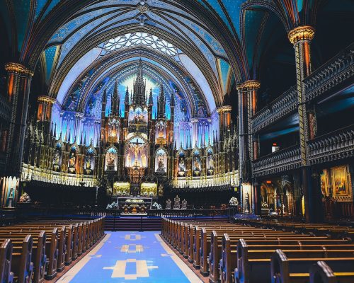 annie-spratt-iJuzlfA8LxE-unsplash notre dame