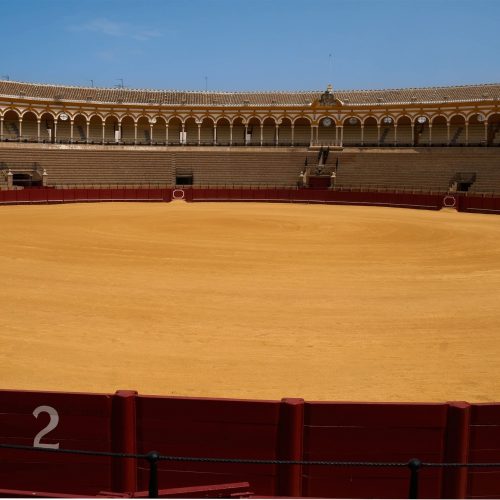 bullring-187844_1920 bullring