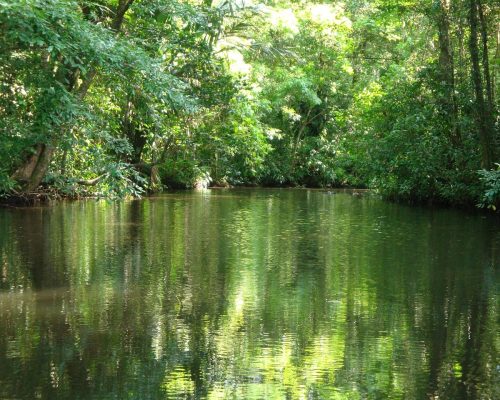 Tortuguеro National Park