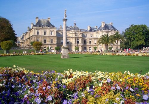 jardin du luxembourg, flower wallpaper, paris-96401.jpg