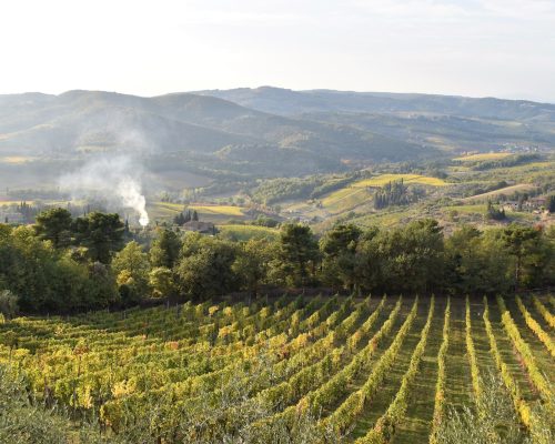 ken-shono-EWOHS6hPoZQ-unsplash Chianti Wine Region