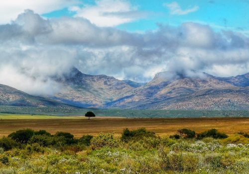 landscape-nature-mountains-4932848 landscape, nature, mountains-4932848.jpg