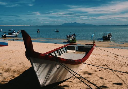 motomoto-sc-eP0JTE92aIA-unsplash motomoto-sc-eP0JTE92aIA-unsplash