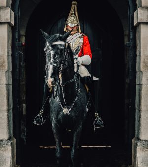 pexels-andrea-de-santis-9647534 (1) cavalery