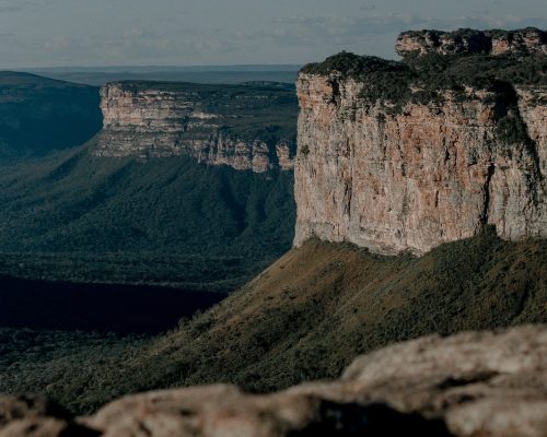 pexels-geovane-souza-15221091 pexels-geovane-souza-15221091
