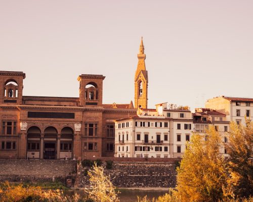 laurentian library