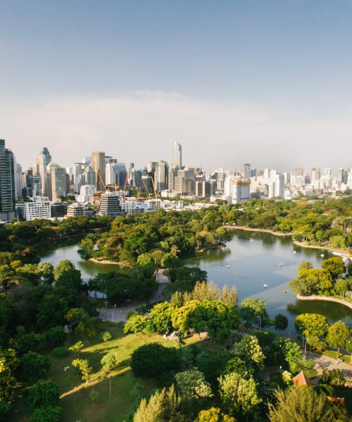 pexels-mikhail-nilov-8299700 Lumpini Park