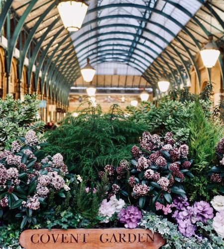 pexels-nik-cvetkovic-14494413 covent gardens