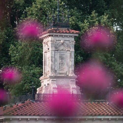 pexels-niklas-jeromin-14367448 italian gardens