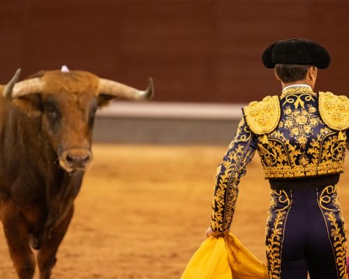 A torero faces a bull at Plaza de Toros in Madrid, showcasing traditional Spanish bullfighting culture.