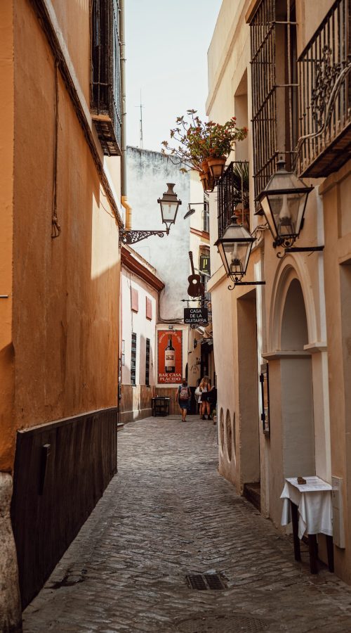 tania-mousinho-Le5rxqjSfhc-unsplash santa cruz 1