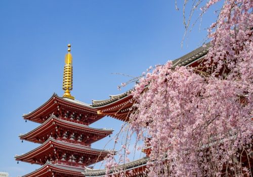 yoav-aziz-nBZWZQsinBU-unsplash Senso-ji temple