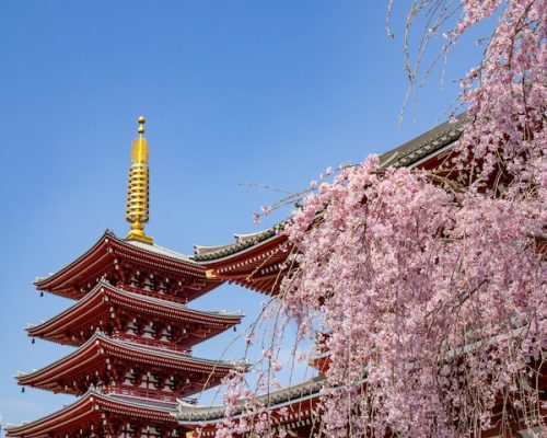 yoav-aziz-nBZWZQsinBU-unsplash Senso-ji temple